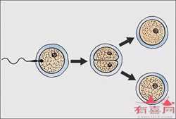 上海供卵安全吗~上海代生孩子推荐~上海卵巢早衰供卵助孕，如何科学避孕以防