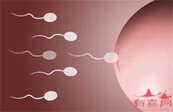 上海靠谱供卵机构~上海55岁借卵自怀~，如何判断怀孕?