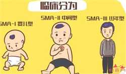 海口供卵代孕包生子,上海私人供卵机构包生男孩是骗局吗？附上海供卵医院名