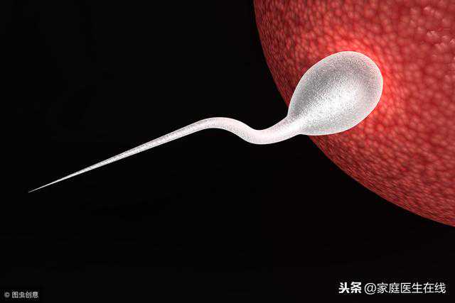 精子在女性体内能存活多久？医生告诉你答案！