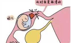 上海代怀小孩电话，上海试管婴儿能够挑选*别吗上海试管哪个医院可