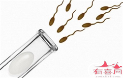 上海做代孕的过程，2022年上海做三代供卵试管婴儿多少钱？