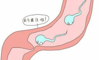 上海代孕公司成功率，上海三大助孕公司上海助孕公司哪家好